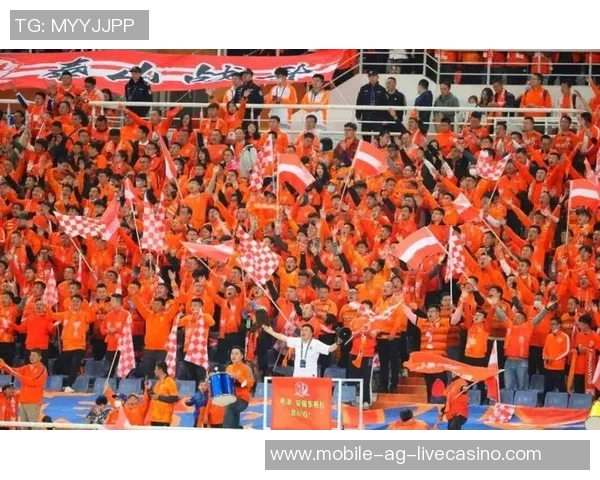 武汉足球比赛热潮再起球迷齐聚为家乡球队呐喊助威 武汉足球比赛热潮再起球迷齐聚为家乡球队呐喊助威